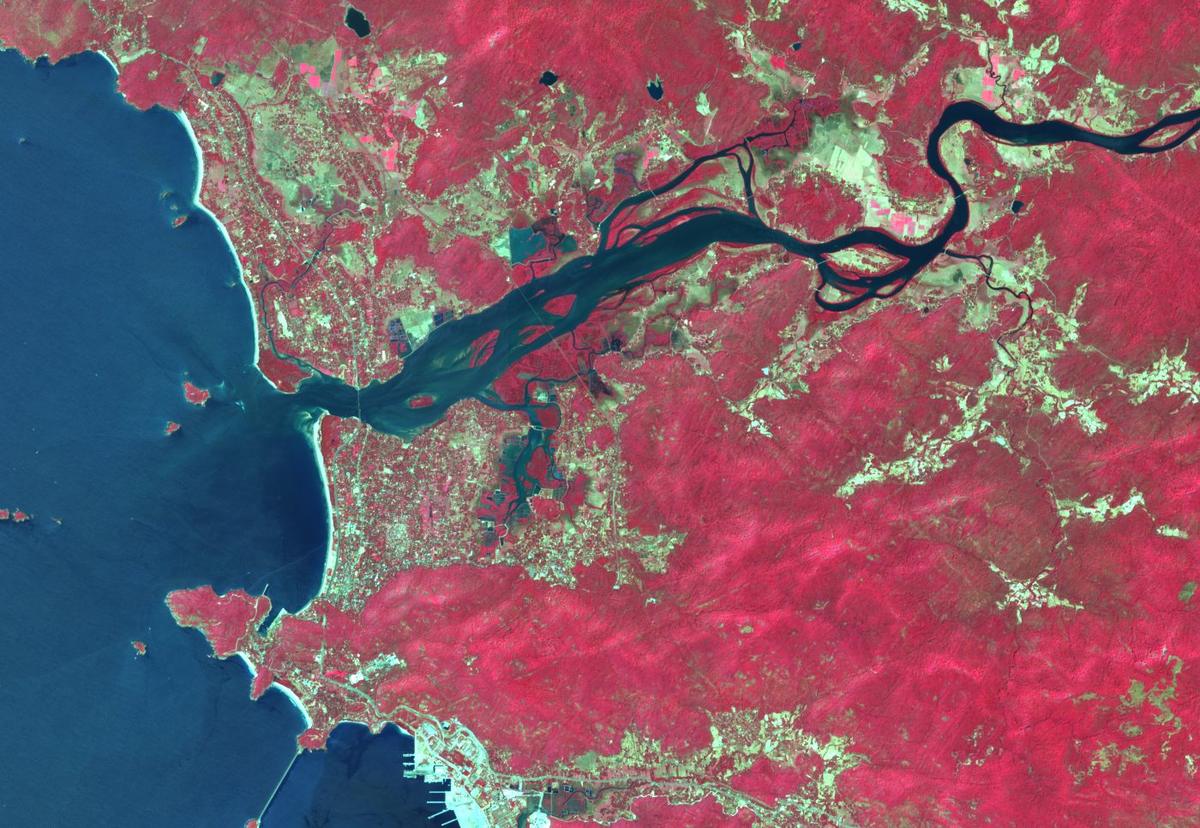 The same area from space in February 2026, trees shown in red